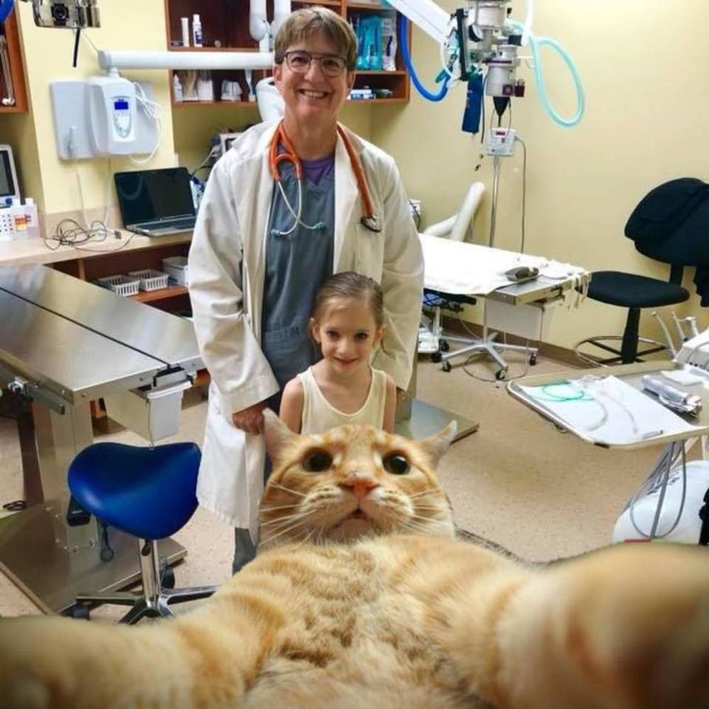 Meet your Posher, E. paige